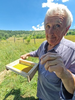 カルロさんの画像