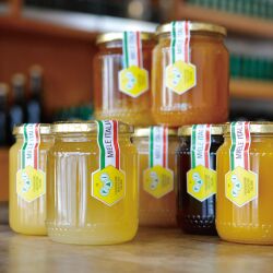 はちみつツルボラン