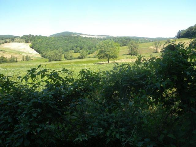 8181.jpg
