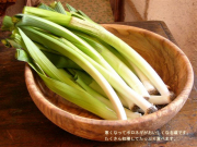寒くなってポロネギがおいしくなる頃です